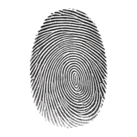 A fingerprint, symbolizing biometric security., isolated on transparent background png