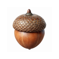 Detailed Brown Acorn with Textured Cap and Smooth Wooden Shell on Transparent Background for Nature Design png