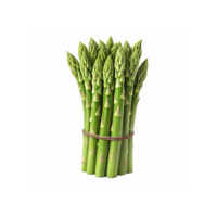 Fresh Green Asparagus Bundle with Rubber Band on Transparent Background for Healthy Cooking and Recipes png