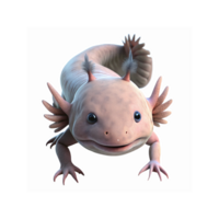 Pink Axolotl Closeup with Smiling Expression and Detailed Features on Transparent Background png