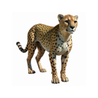 Realistic Cheetah Standing Alert with Detailed Fur Patterns on Transparent Background for Wildlife Concepts png