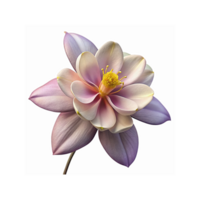 Closeup of Pastel Pink Aquilegia Flower with Yellow Center on Transparent Background for Nature Designs png