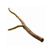Natural Wooden Branch With Textured Bark and Split Shape For Decorative Craft or Rustic Design png