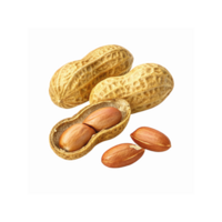 Closeup of Whole Peanuts in Shell and Open Shell with Roasted Peanut Kernels on Transparent Background png