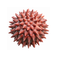 Closeup of Spiky Red Virus Microorganism with Detailed Texture and Realistic 3D Design Transparent Background png