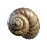 Detailed Closeup of Natural Brown Spiral Snail Shell Pattern with Textured Surface on Transparent Background png