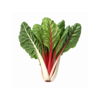 Fresh Green Swiss Chard Leaves with Red and White Stalks for Cooking and Healthy Meal Preparation png