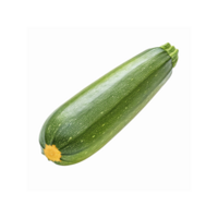Fresh Whole Green Zucchini with Stem and Yellow Bottom on Transparent Background for Cooking and Recipes png