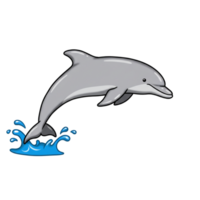 Playful Gray Dolphin Leaping Ocean Water Splash Fun Sea Jump Cute Image Happy Happy Marine Mammal png