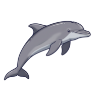 Adorable Gray Dolphin Leaping Ocean Wildlife Cartoon Illustration Sea Cute Water Happy Image Marine png