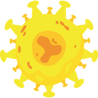 virus nipah biology png