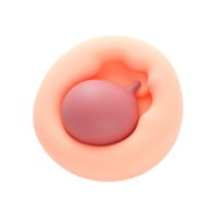 3D Render of a Pink Enema Bulb in a Peach-Colored Cavity png