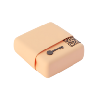 Digital Key Security 3D Render of Secure Package png