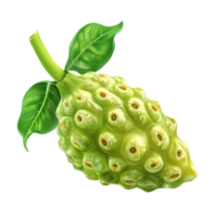 Exotic Noni Fruit with Green Spiky Surface png