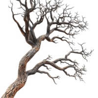 Bare Tree with Twisted Branches png