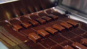 Pouring chocolate at a candy factory for the production of chocolates. Sweets are poured with chocolate on production line at a candy factory close up. video