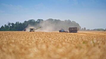 Tractor trailer moving closer to the combine harvester to stop exactly under the auger. Preparation for the unloading grains into truck. Agricultural machinery working in the field. video