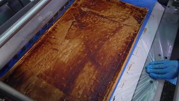 Large layer of nougat sliced into little bars by the automatic machine. Automated confectionery production. Side view on the automatic conveyor. video