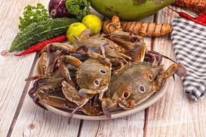 A bowl of crabs on a table with other vegetables photo
