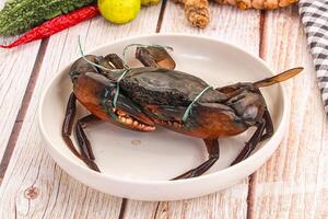 A crab is sitting in a bowl on a table photo