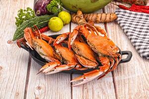 A bunch of crabs sitting on a plate with some vegetables photo