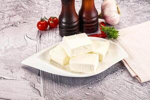 A white plate with cubes of cheese and garlic photo