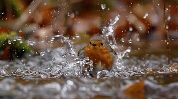 A vibrant bird splashes in a serene pond surrounded by autumn foliage, capturing nature's beauty photo