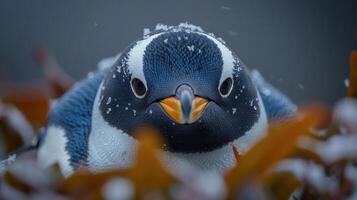 Close-up of a penguin amidst falling snow, surrounded by colorful foliage in a serene environment photo