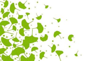frame of green leaf isolated flying a empty space. invitation card vector