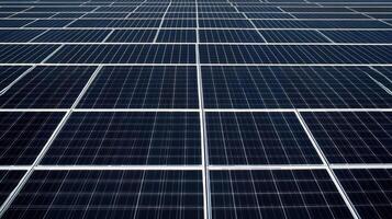 Expansive solar panel array capturing sunlight photo
