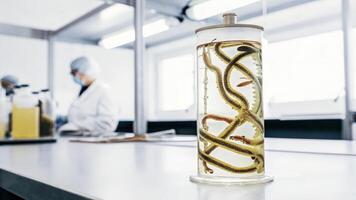 A glass container with a swirling liquid showcasing a vibrant mix of genetically altered microorganisms with lab instruments and safety gear in the background.. photo