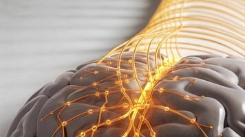 An intricate 3D visual of a neural lace seamlessly embedded in human brain tissue demonstrating the delicate integration and enhancing communication between biology and technology.. photo