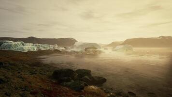 Iceberg landscape under soft sunlight in a tranquil Arctic setting at dawn video