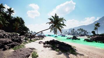 Explore the serene beaches of Tahiti with turquoise waters and palm trees video
