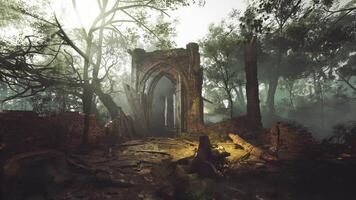 Mysterious ruins enveloped by fog in a dense forest during the early morning video