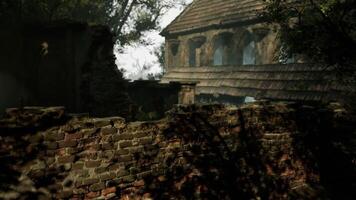 Exploring the remnants of an ancient stone structure in a forested area video