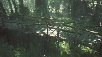 Old wooden footbridges created by aborigines in a dense jungle setting video