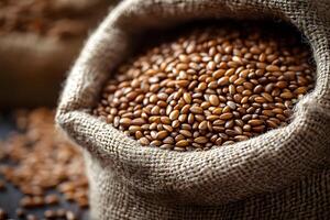 Burlap Sack Filled with Organic Wheat Grains for Sustainable Agriculture Concepts photo