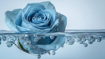 Blue rose underwater with air bubbles and clear water background photo