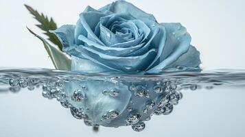 Blue rose underwater with water bubbles and soft light reflection photo