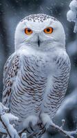 Snowy owl perched on branch in snowy winter setting with orange eyes photo