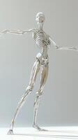 3d metallic human skeleton model in dynamic pose displayed on white background photo