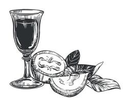 Walnut composition in engraving technique. Unripe walnut seeds whole and halves, leaves and branches. shot glass of Italian liqueur Nocino. Linear sketch in black ink on white background. vector