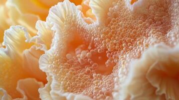 A close up of a flower with bubbles photo