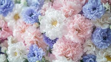A close up of a bunch of pink and blue flowers photo