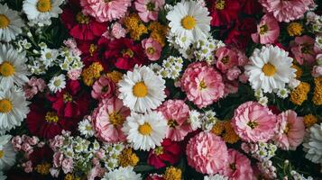 A large group of flowers in a field photo