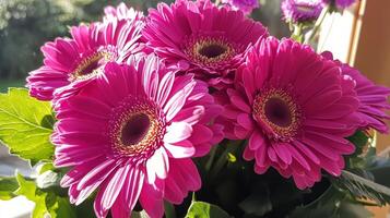 A vase with pink gerbera daisies in it photo