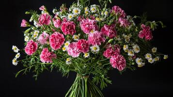 A bouquet of pink and white carnations on a black background photo