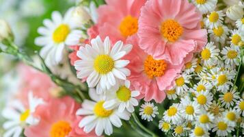 A bouquet of white and pink daisies photo