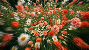 A blurry image of a field of flowers photo